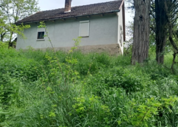 Vând urgent casă în Cenad-Timiș pe șosea vamă Ungaria