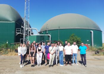 Curent electric și căldură, din plante și gunoi de grajd