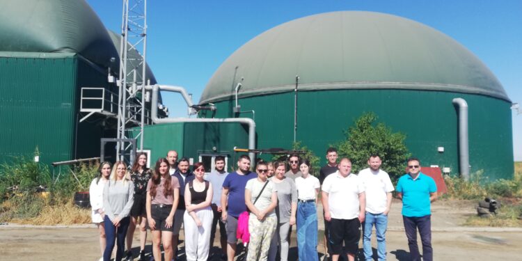 Curent electric și căldură, din plante și gunoi de grajd