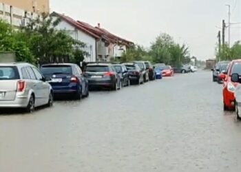 Cu barca la Dumbrăvița