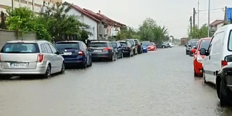 Cu barca la Dumbrăvița