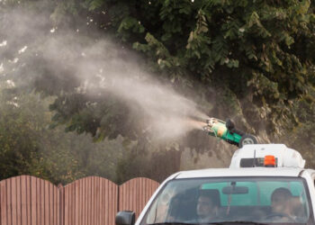 Atenție la dezinsecție!