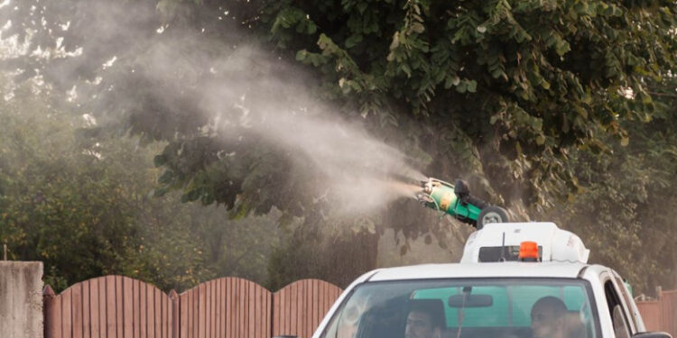 Atenție la dezinsecție!