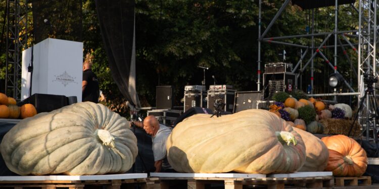 Într-o poveste… reală