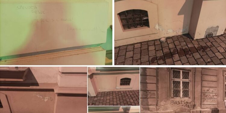 S.O.S., exteriorul Muzeului de Artă din Timișoara!