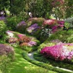 gradina 8
