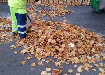 Timișoara, mai curată în această toamnă