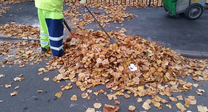 Timișoara, mai curată în această toamnă