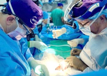 Experiment în transplanturile inter-specii