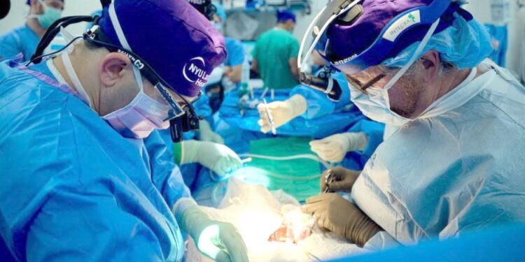 Experiment în transplanturile inter-specii