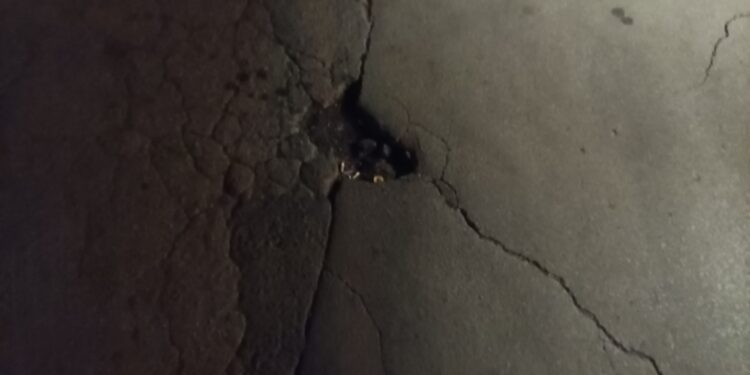 FRITZ, FĂ TROTUARUL!