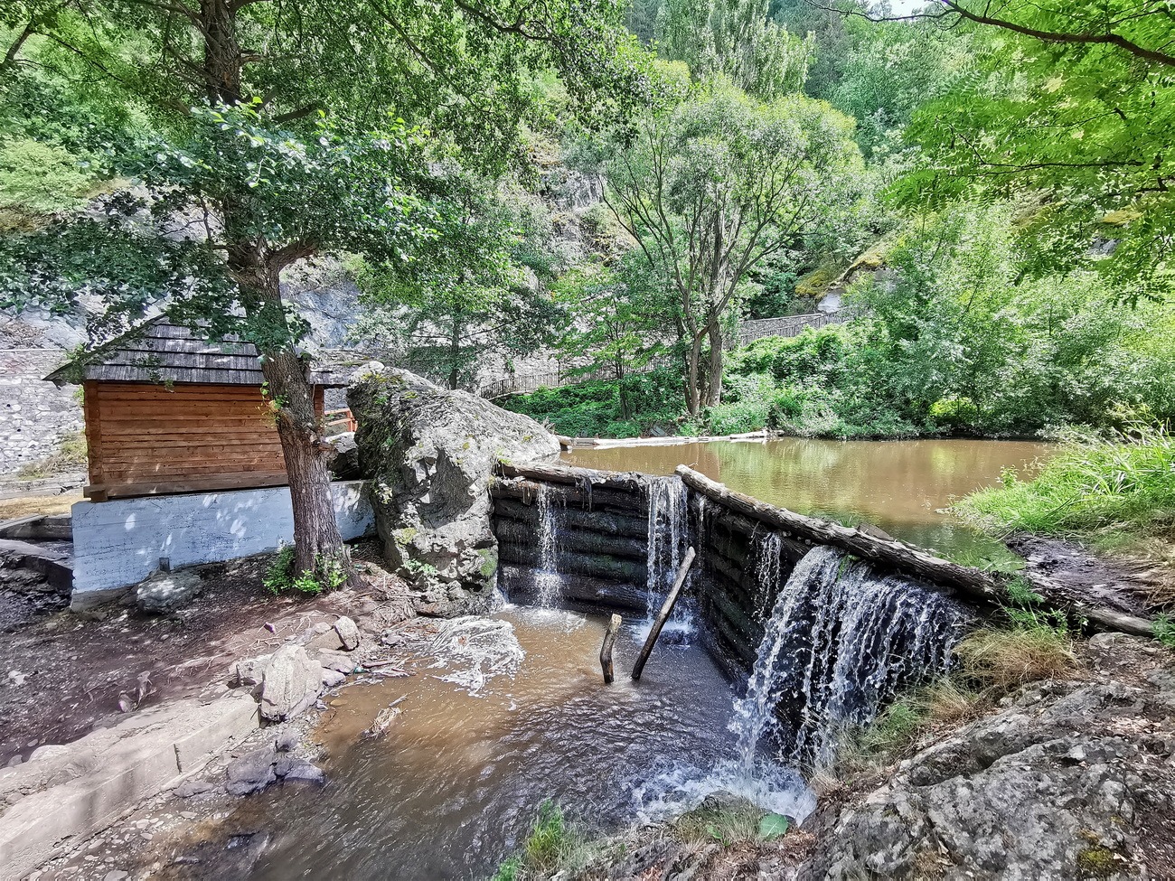 moara 6 1