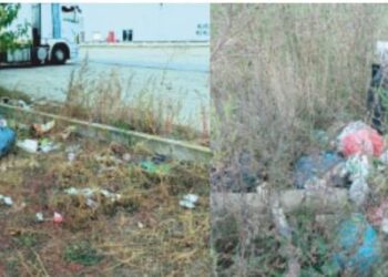 Gunoi în cartierul Calea Aradului