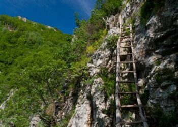 Producții norvegiene filmate în Banatul Montan?