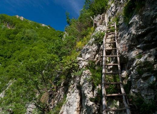 Producții norvegiene filmate în Banatul Montan?