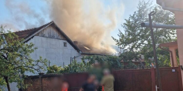 Femeia care a incendiat gospodăriile vecinilor săi, la Sebiș, asista la intervențiile pompierilor