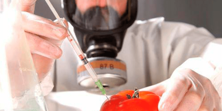 Dezvăluirea adevărului din spatele aditivilor alimentari: E-uri de evitat!