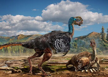 Penele dinozaurilor și posibilul lor scop neașteptat