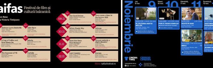 Programul săptămânii 6-12 noiembrie, la Cinematografele „Victoria” și „Timiș”