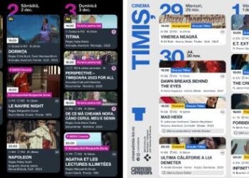 „Timiș” și „Victoria”, între 28 noiembrie și 3 decembrie