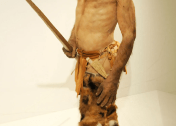 O nouă analiză a genomului Omului Gheții