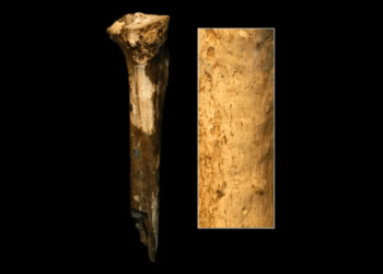 Studii controversate din 2023