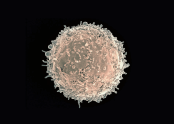 Primele celule modificate genetic, într-un pacient