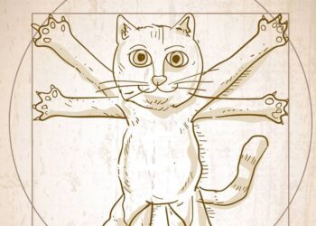 Pentru cine e pisica?