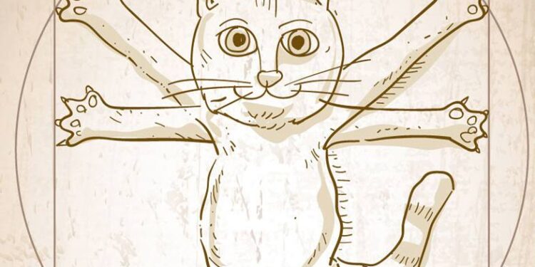 Pentru cine e pisica?