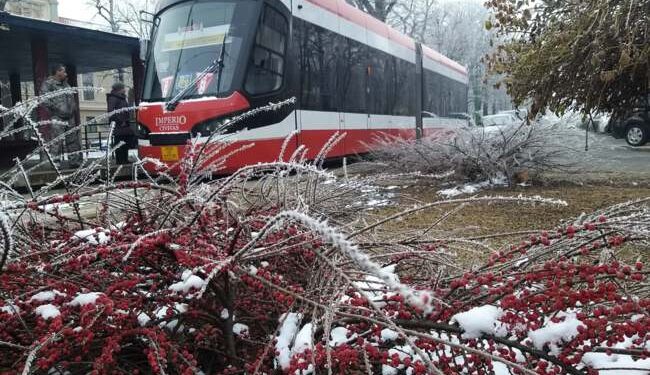 Plafon mărit pentru pensionarii din Arad, care folosesc transportul în comun