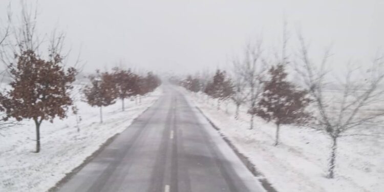 Prima sancțiune aplicată unei instituții publice din județul Timiș, după prima ninsoare