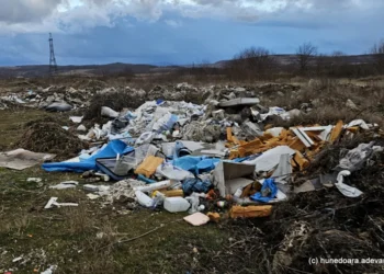Râul Strei din Hunedoara, extrem de poluat. Localnicii au aruncat tone de gunoaie pe maluri