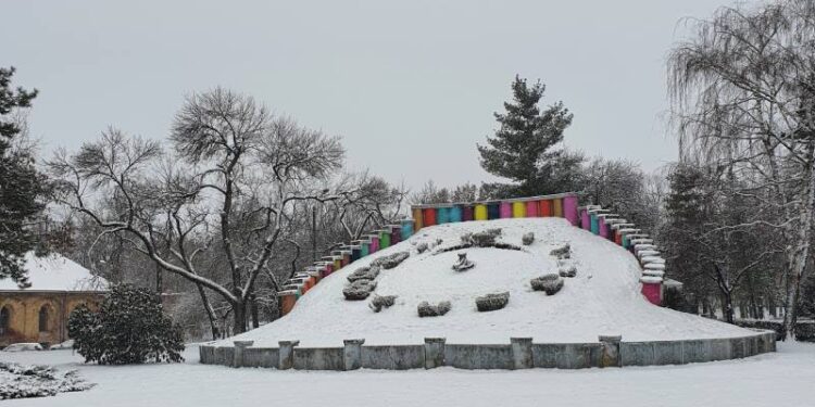 Deszăpezire, în Timișoara