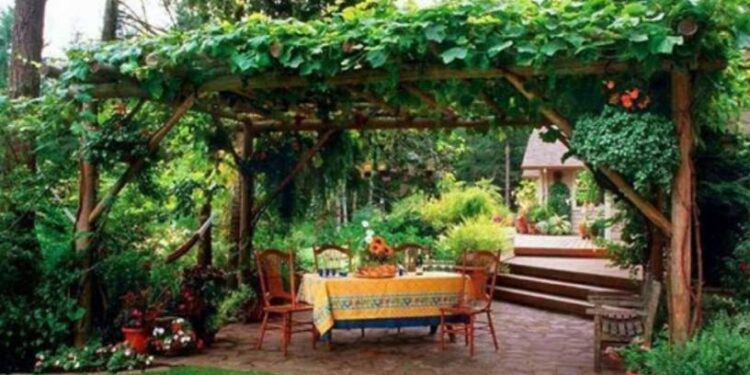 Viţa-de-vie, plantă decorativă, pentru înfrumusețarea grădinilor, parcurilor sau a localităților (I) autori: Alin DOBREI, Alina DOBREI