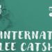 Peste 20 rase de pisici, în competiția WCF International Jubilee Catshow, la Timișoara