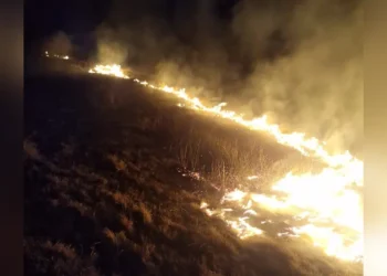 Patru incendii de vegetație uscată, în zone diferite ale județului Arad, în aceeași zi