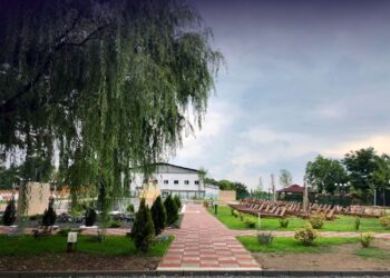 Timișul vindecător