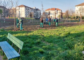 Parc nou în Zona Lunei