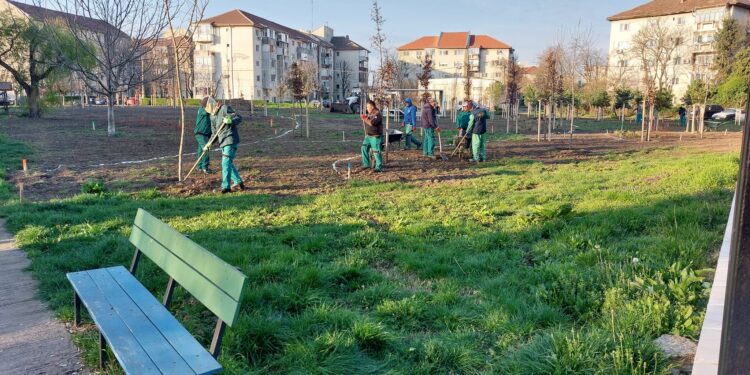 Parc nou în Zona Lunei