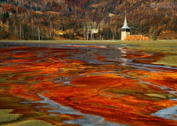 Roșia Montană, o telenovelă în falset și o manea cu dinții de aur