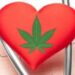 Canabis-ul, efecte cardiovasculare