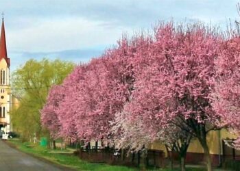 Aventuri la capătul țării
