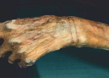 Cum au fost create tatuajele lui Ötzi?