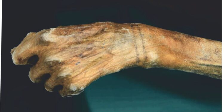 Cum au fost create tatuajele lui Ötzi?