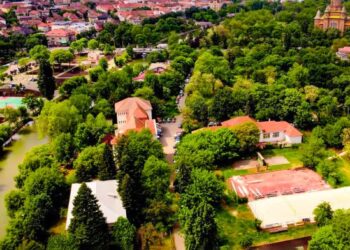 Președinta Agenţiei Naţionale pentru Sport și primarul Timișoarei, soluție optimă pentru secția de canotaj a CSM