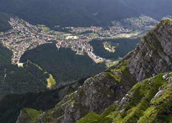 Reveniți în templul învățăturii!