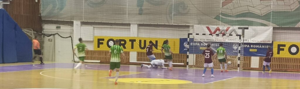 dvsfgol3