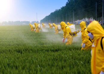 Erbicidele, pesticidele și riscul de cancer