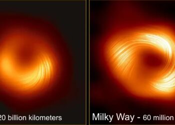 Câmpurile magnetice din jurul găurii negre din Calea Lactee