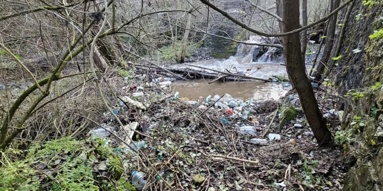 Râuri legendare din Hunedoara, distruse de oameni. Gropi de gunoi în locul atracțiilor turistice 